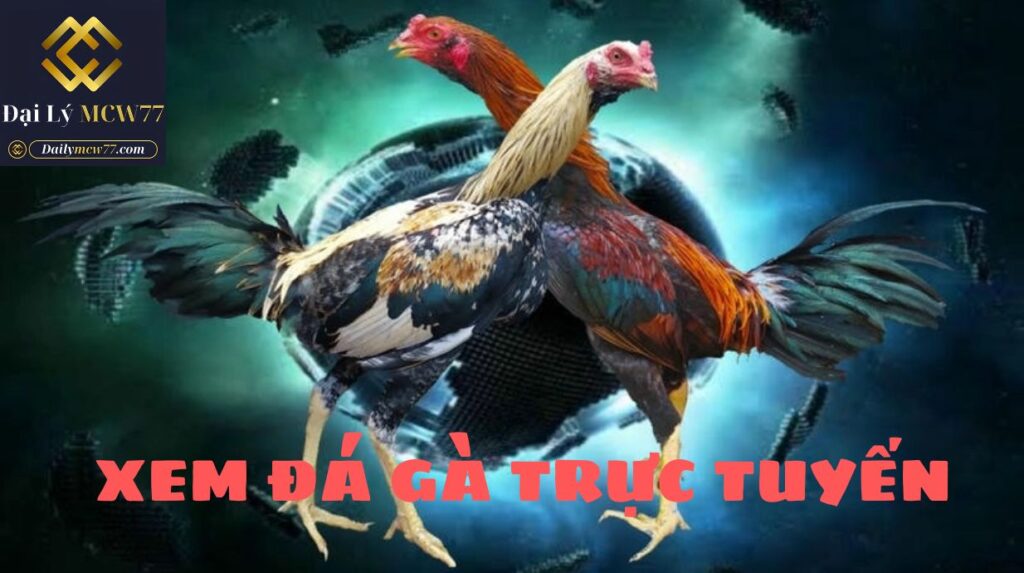 Xem đá gà trực tuyến: Trải nghiệm mượt mà, sôi động mỗi ngày